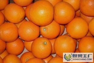 秭归绿野脐橙合作社原产地销售大量优质秭归脐橙_农副产品
